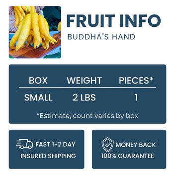 Buddha's Hand Good Hill Farms Fruit: Buddha's Hand