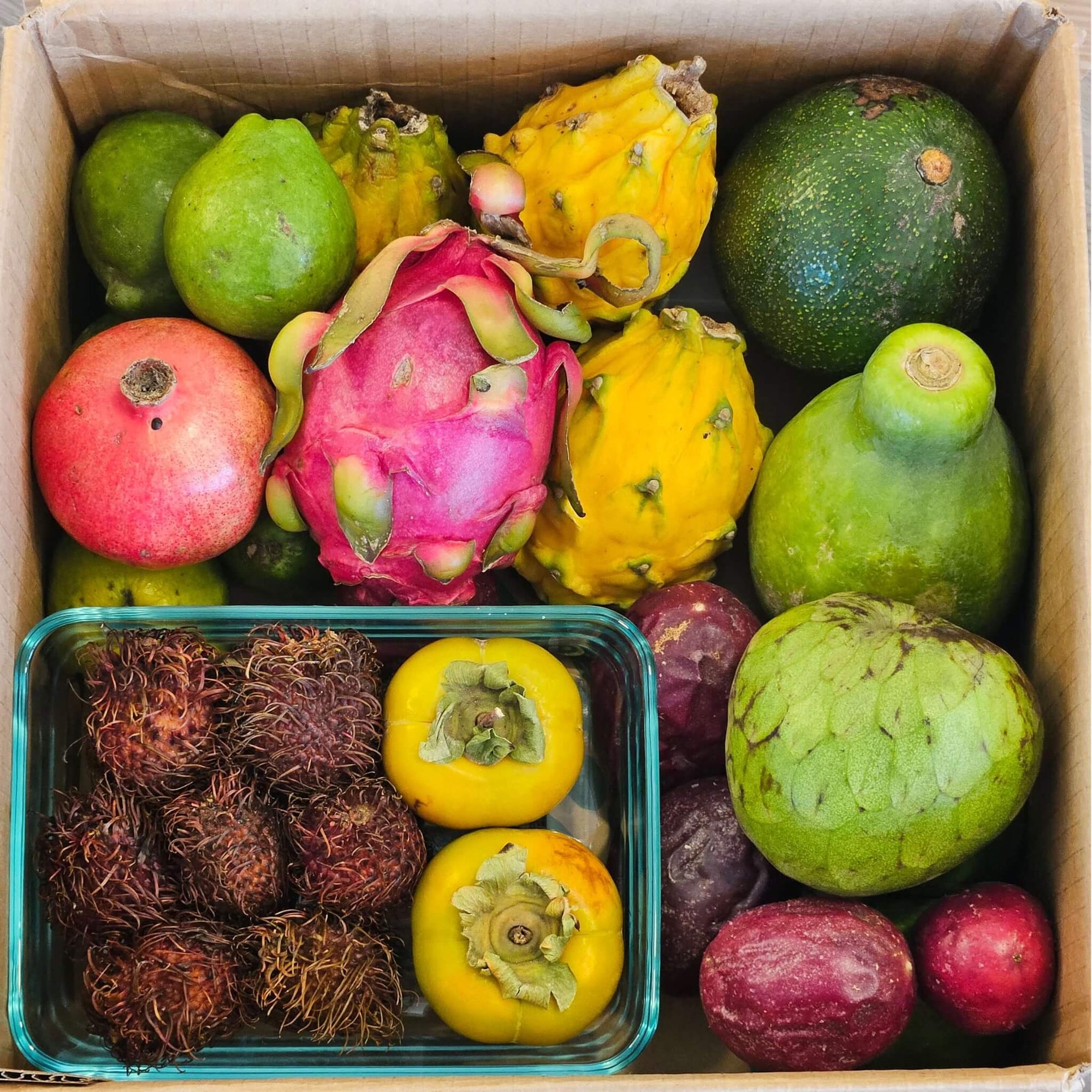 Exotic Explorer Variety Box | September 2025 – Good Hill Farms