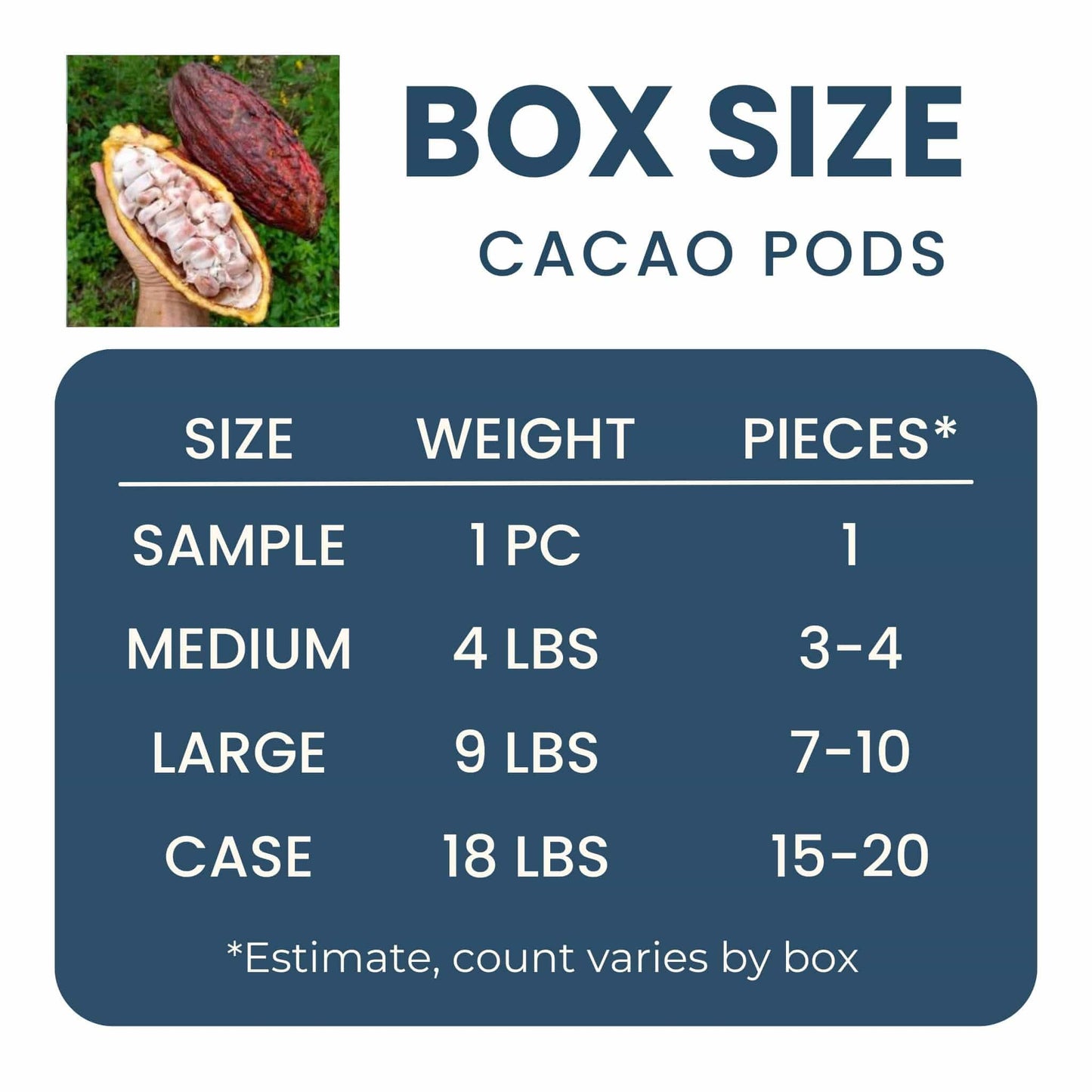 Fresh Cacao Pods (Chocolate)