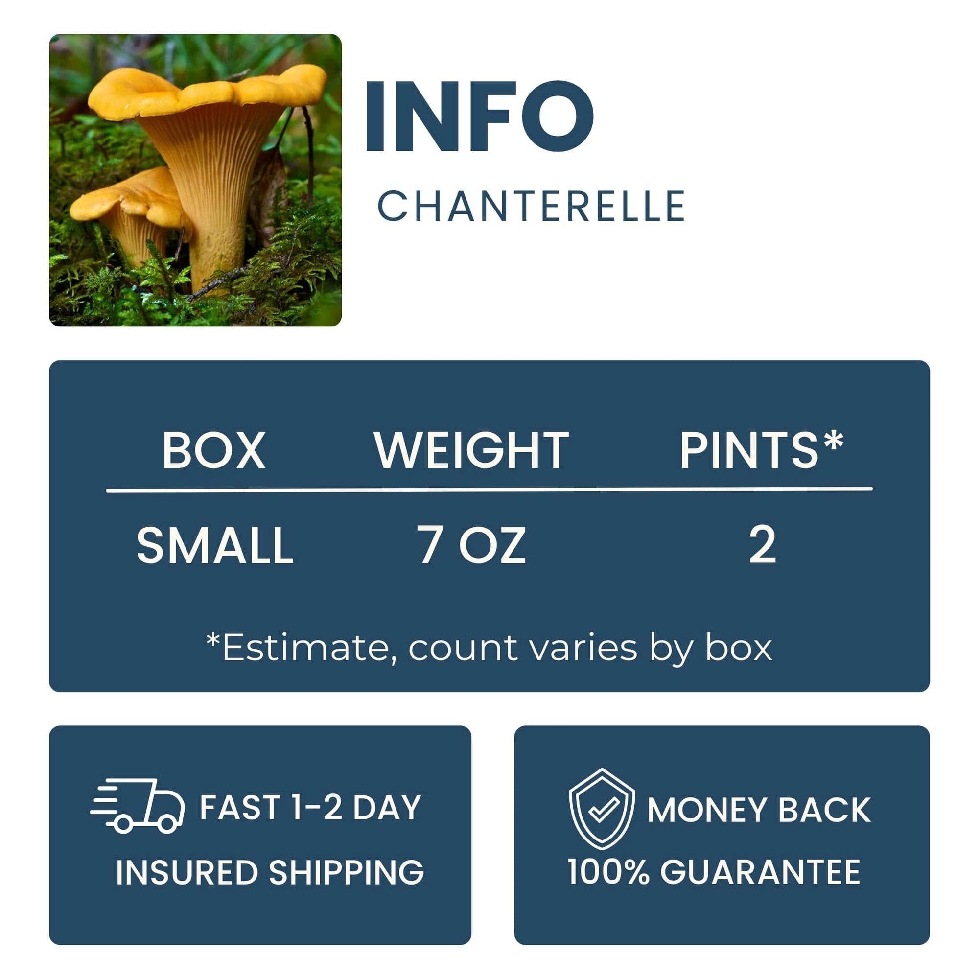 Chanterelle Good Hill Farms Mushroom: Chanterelle