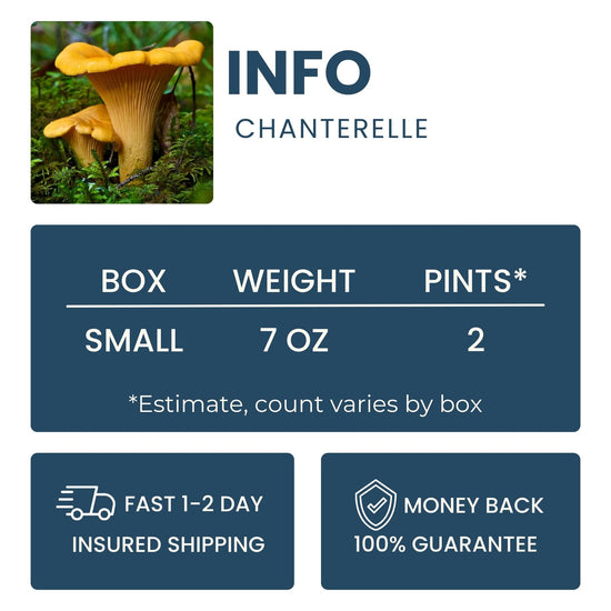 Chanterelle Good Hill Farms Mushroom: Chanterelle