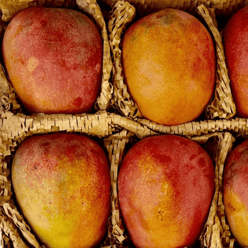 Cherry Mango Good Hill Farms Fruit: Mango, Cherry