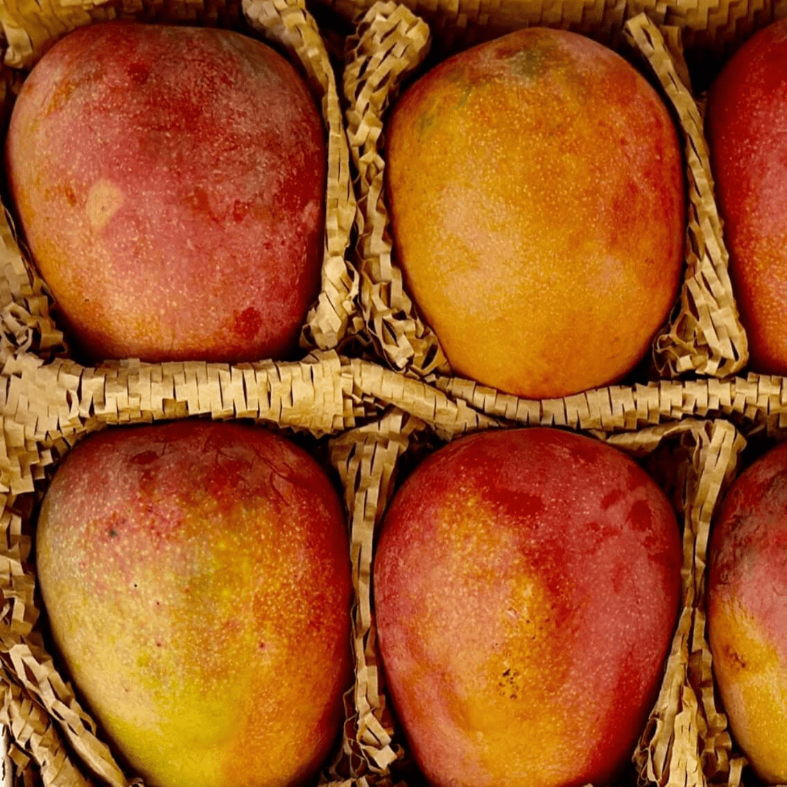 Cherry Mango Good Hill Farms Fruit: Mango, Cherry