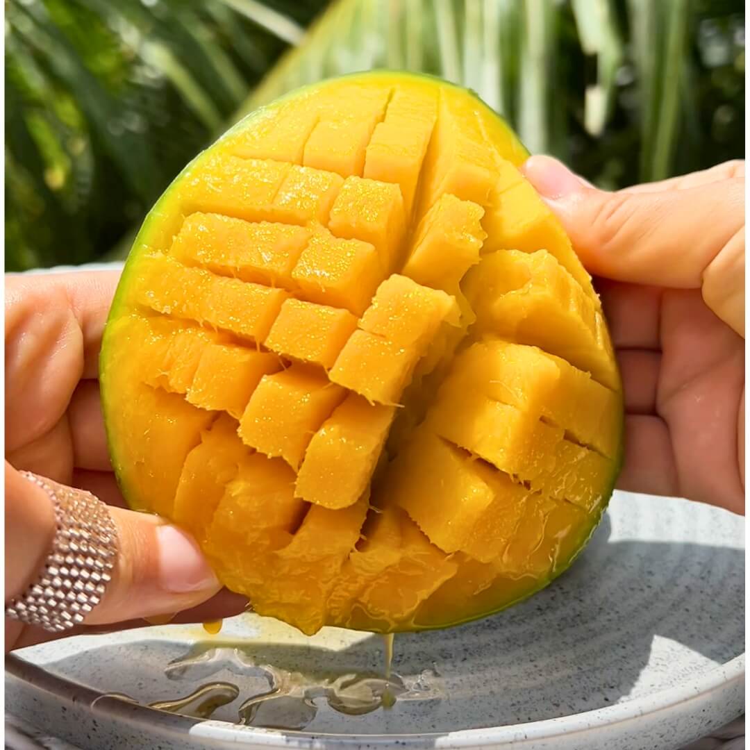 Fresh Cacao Pods (Chocolate) – Good Hill Farms