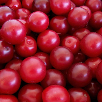 Cherry Plum Good Hill Farms Fruit: Cherry Plum