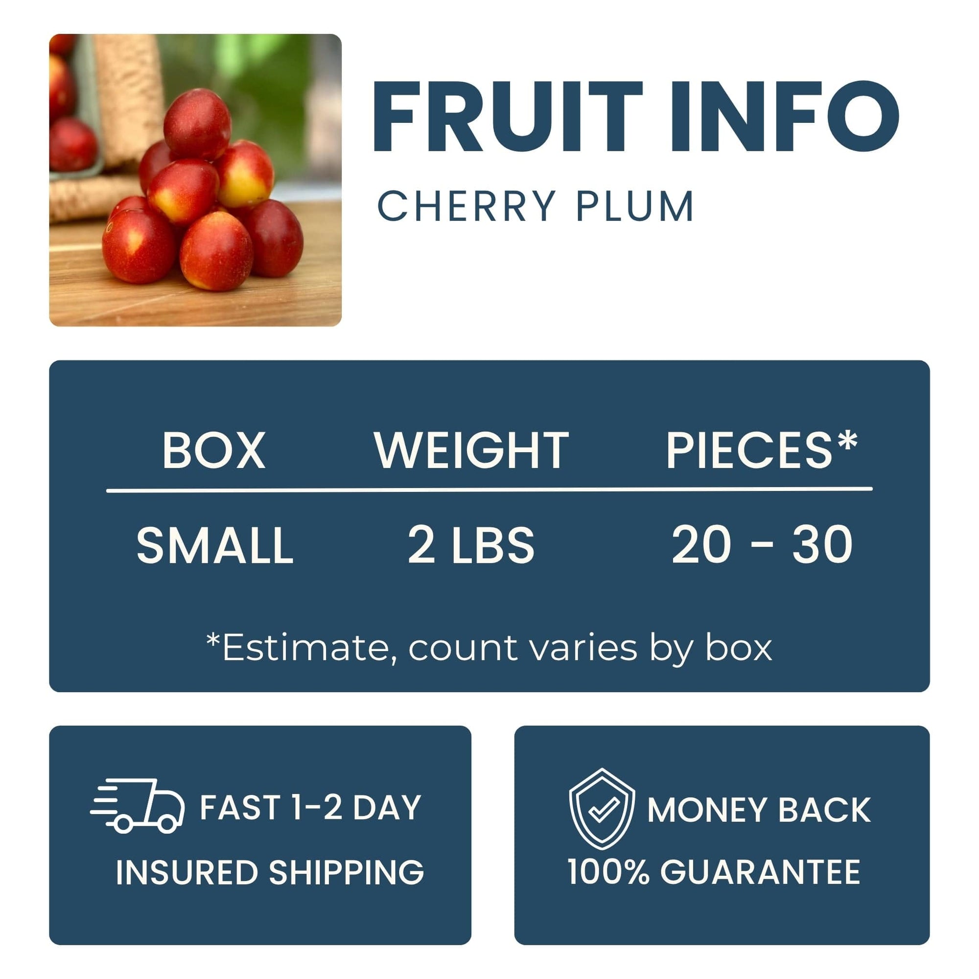 Cherry Plum Good Hill Farms Fruit: Cherry, Plum