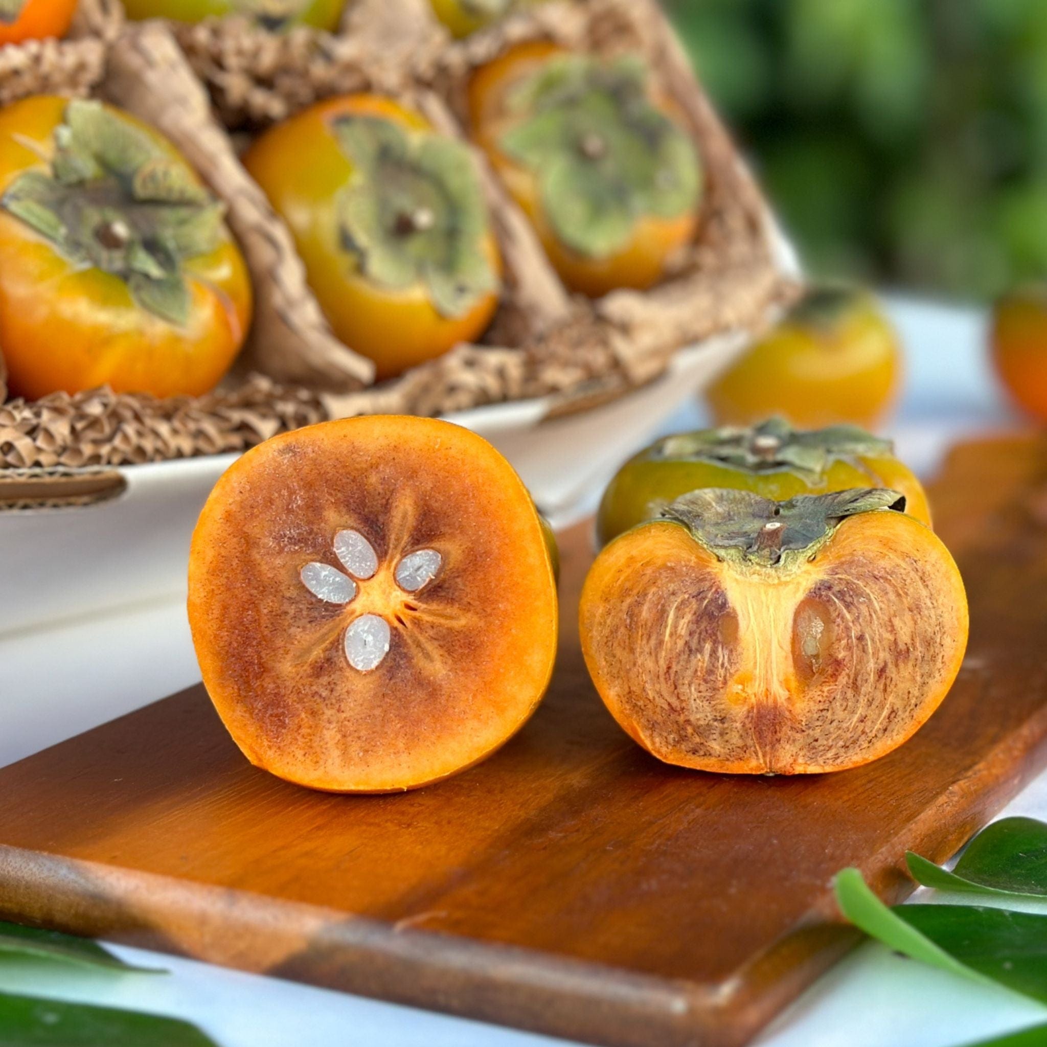 Chocolate Persimmon