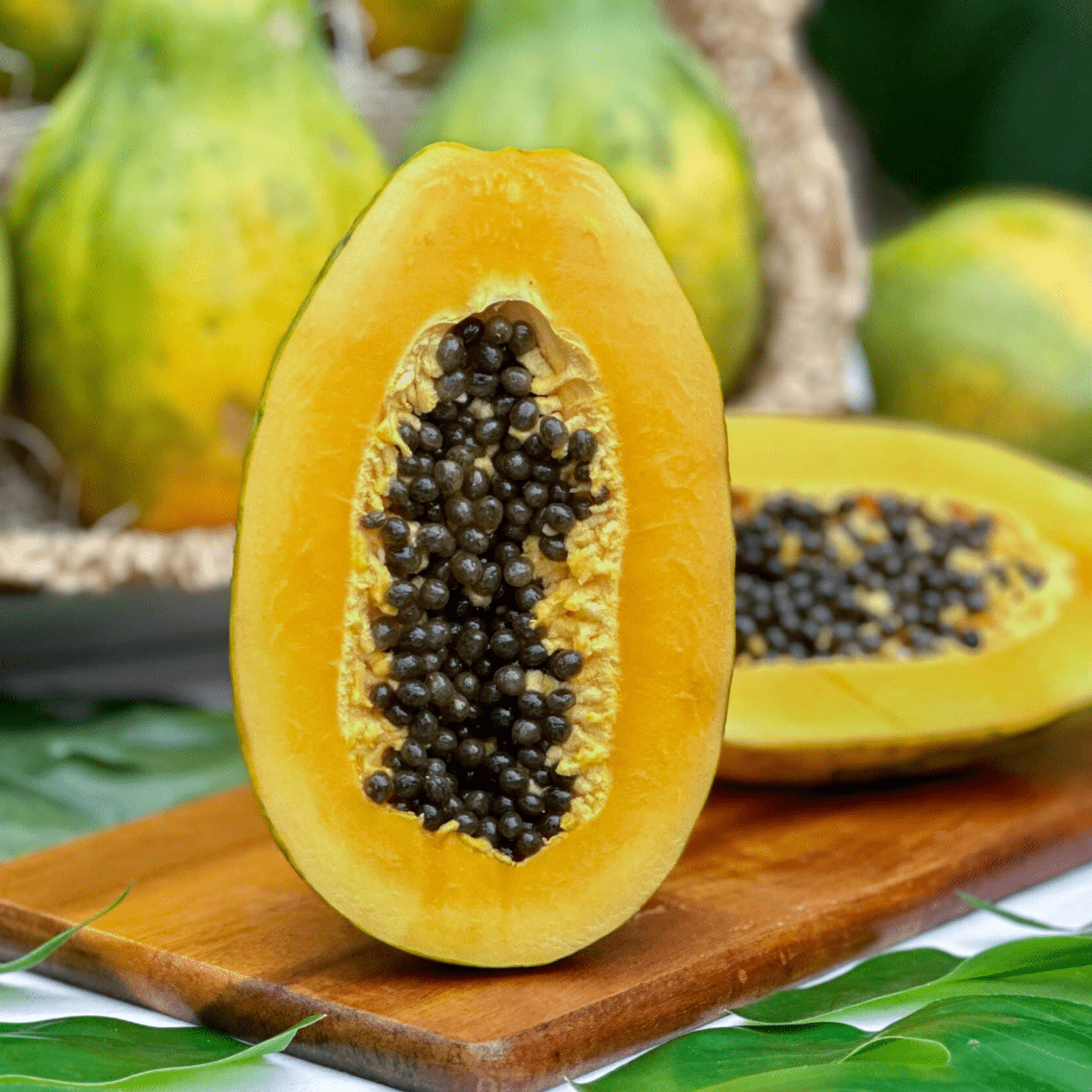 Papaya