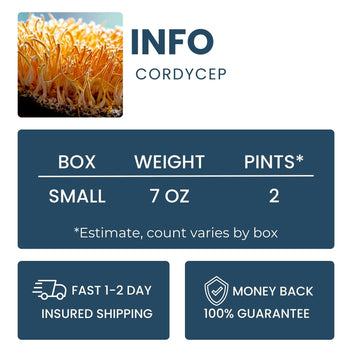 Cordycep Mushroom Good Hill Farms Mushroom: Cordycep