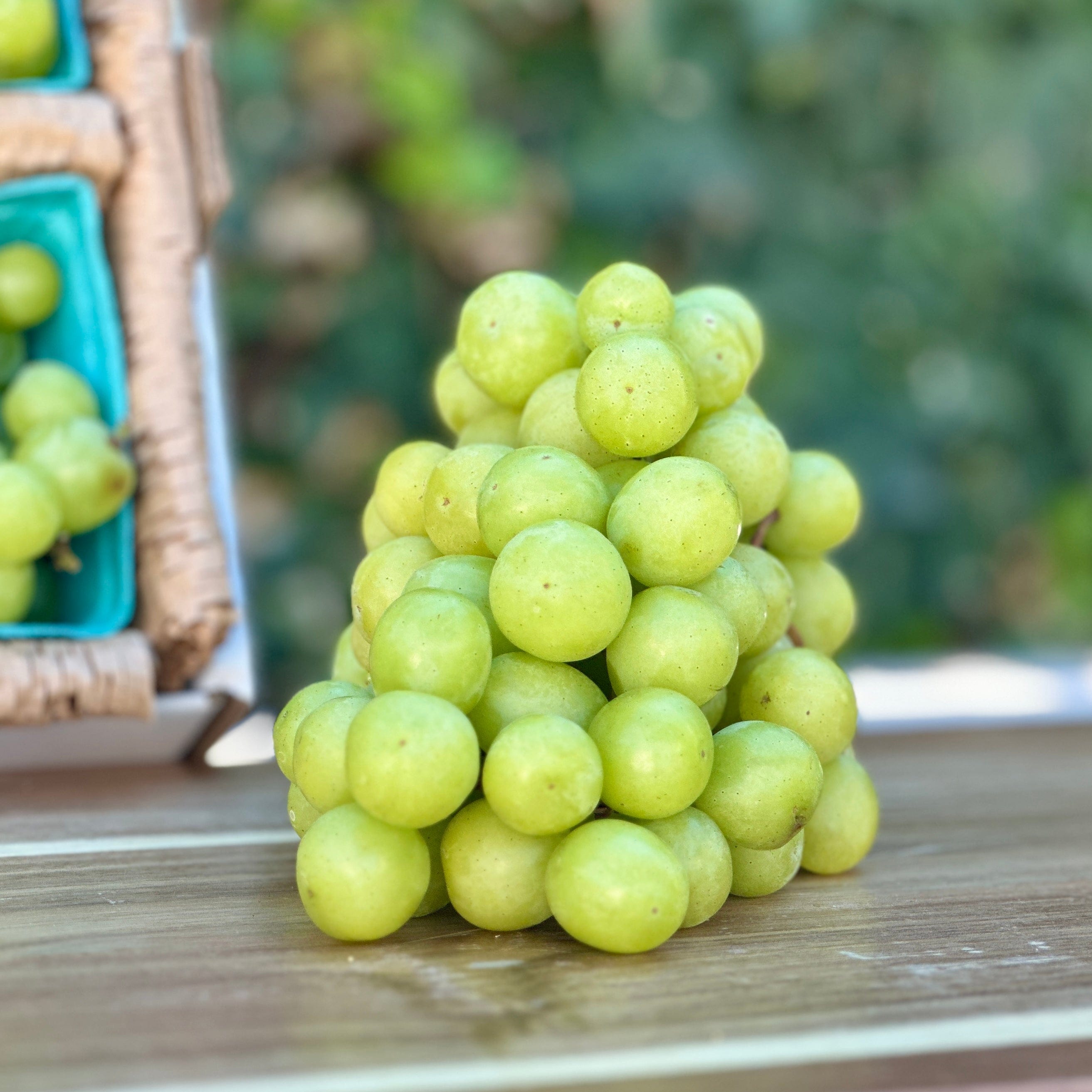 Cotton Candy Grapes