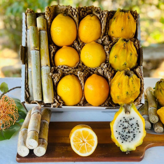 Dragon Fruit Lemonade Kit Good Hill Farms Mix Box: Lemonade, Yellow Dragon Fruit