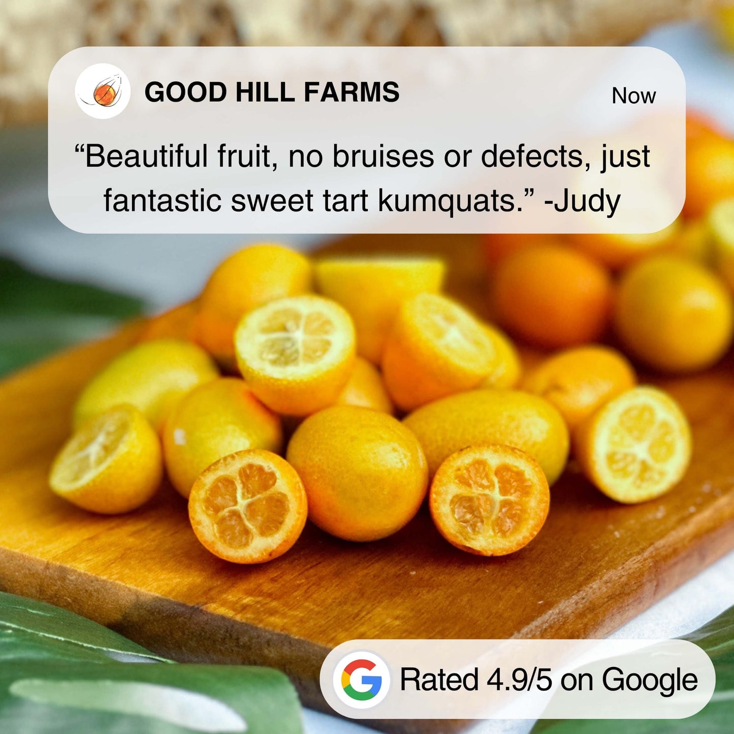 Kumquat Fruit