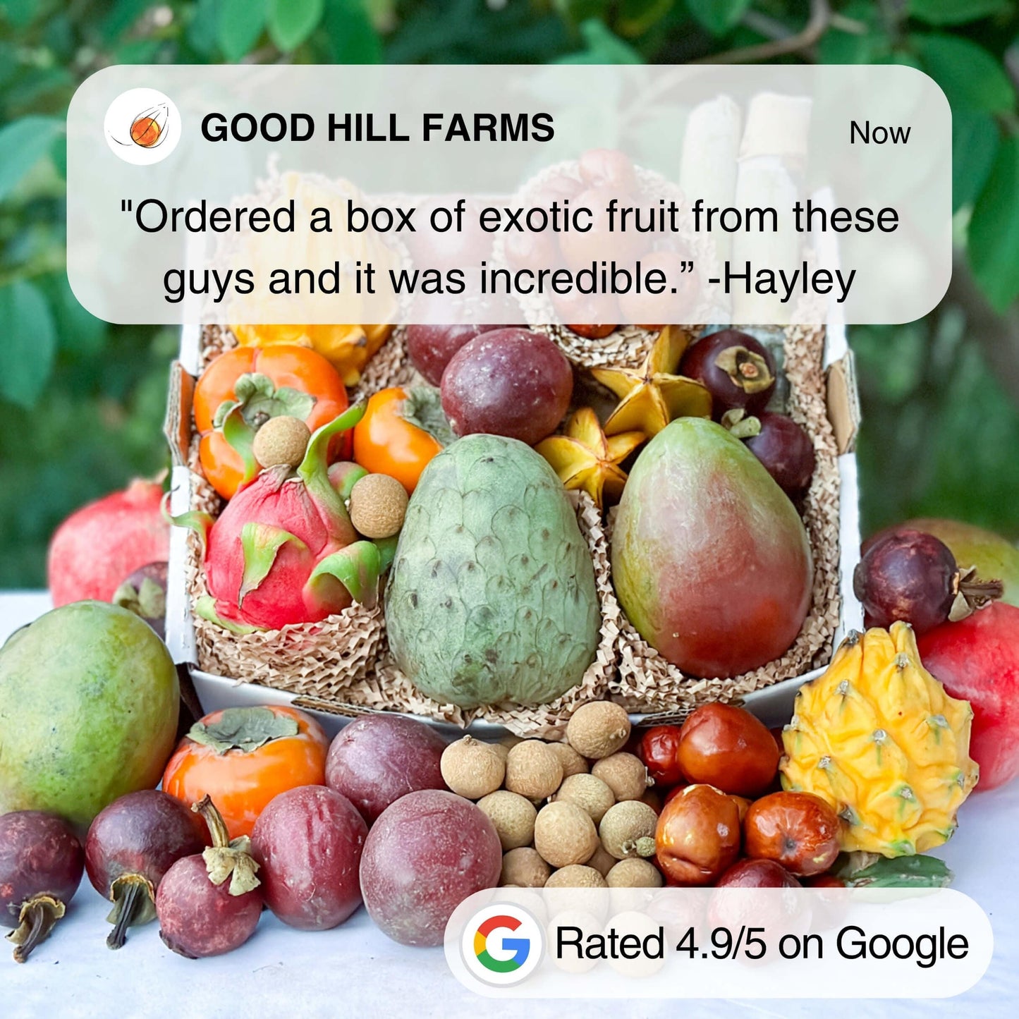 Exotic Fruit Variety Box