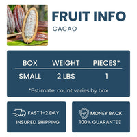 Fresh Cacao Good Hill Farms Fruit: Cacao