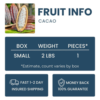 Fresh Cacao Good Hill Farms Fruit: Cacao