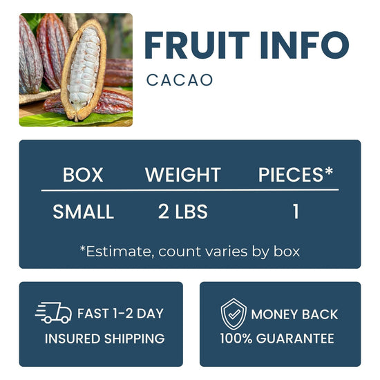 Fresh Cacao Good Hill Farms Fruit: Cacao