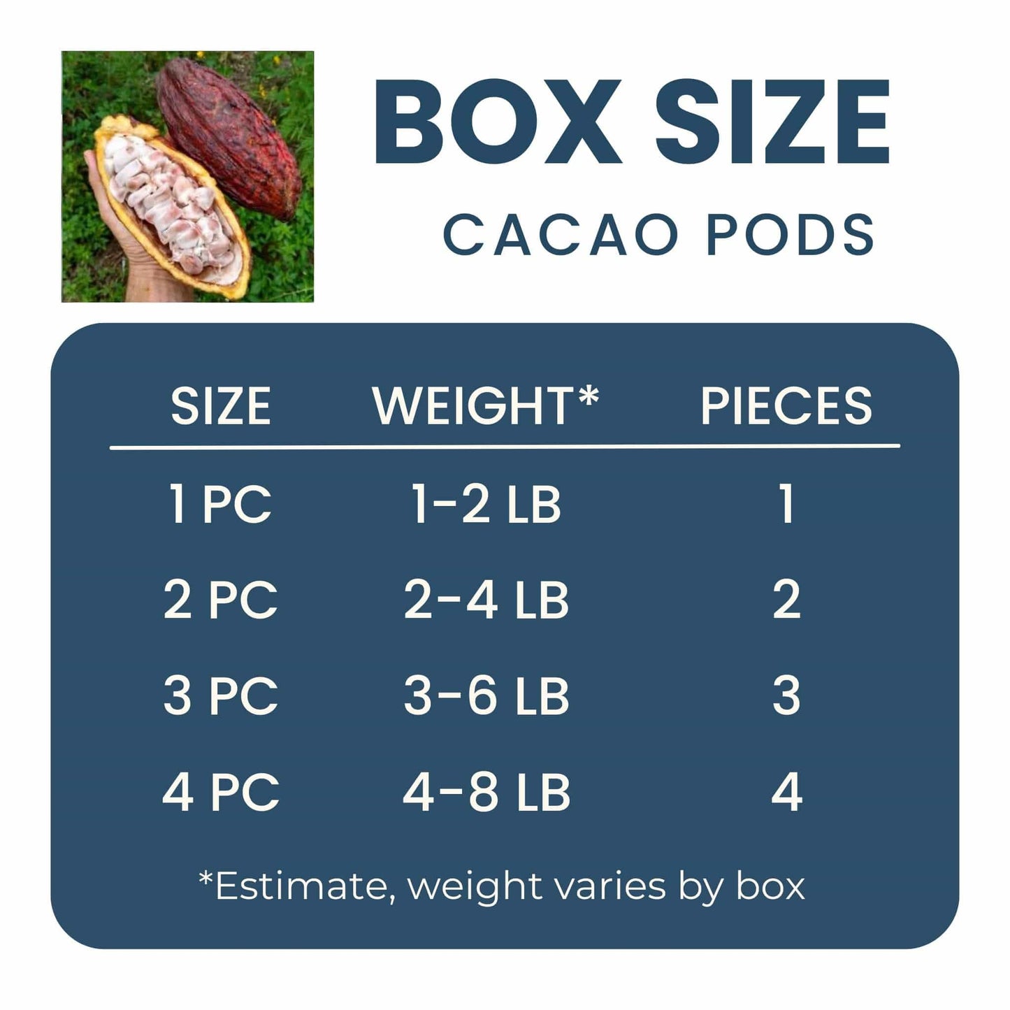 Fresh Cacao Pods (Chocolate) Good Hill Farms Fruit: Cacao