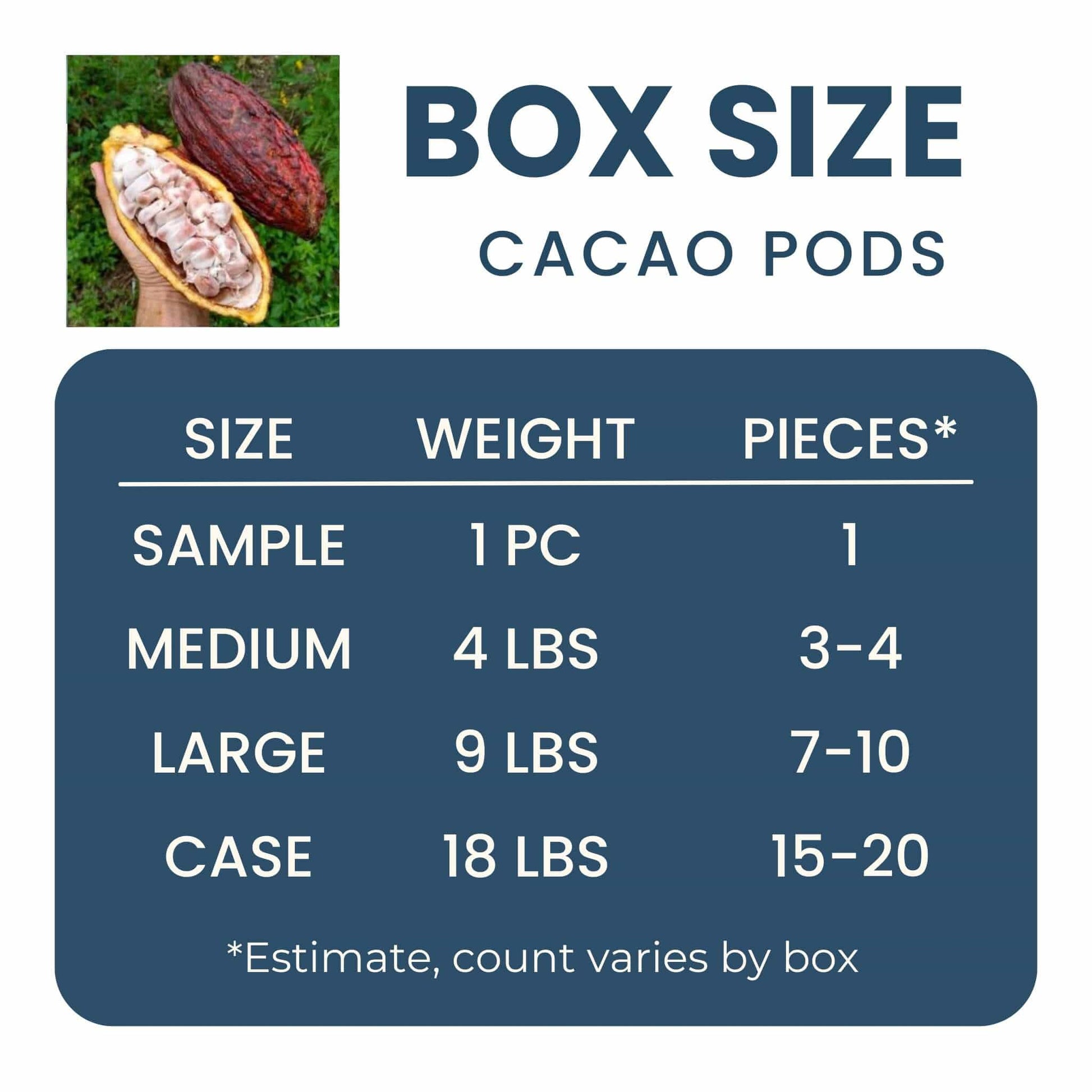 Fresh Cacao Pods (Chocolate) Good Hill Farms Fruit: Cacao