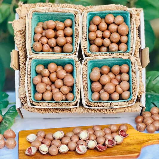 Fresh Whole Macadamia Nuts Good Hill Farms Fruit: Macadamia Nut