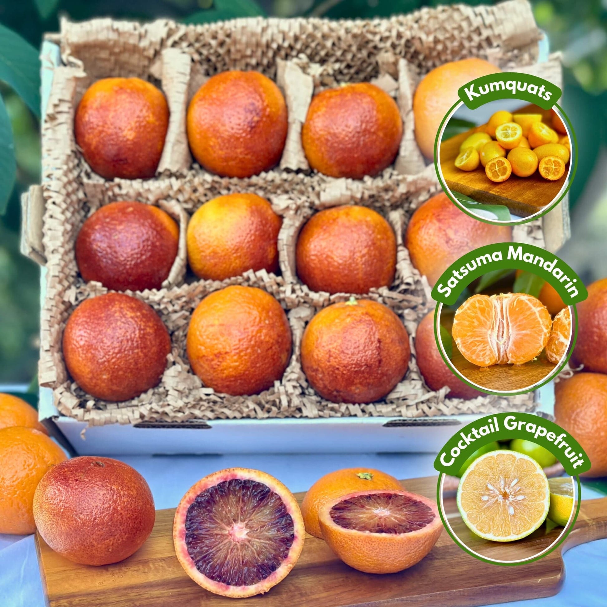 Game Day Winter Citrus Party Box Good Hill Farms Mix Box: Bundle