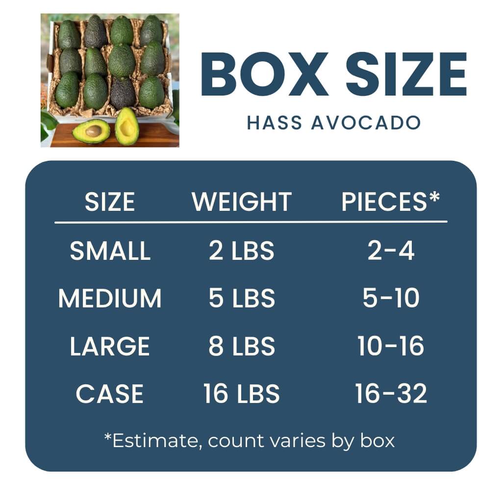 Hass Avocado Fruit Good Hill Farms Fruit: Avocado, Hass