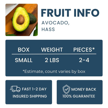 Hass Avocado Good Hill Farms Fruit: Avocado, Hass