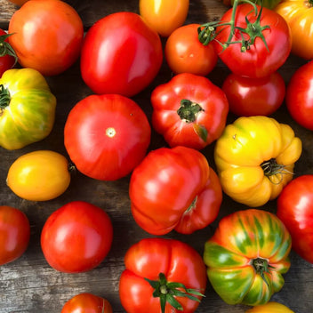 Heirloom Tomatoes Good Hill Farms Fruit: Tomato, Heirloom