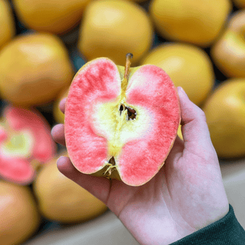 Hidden Rose Apple Good Hill Farms Fruit: Apple, Hidden Rose