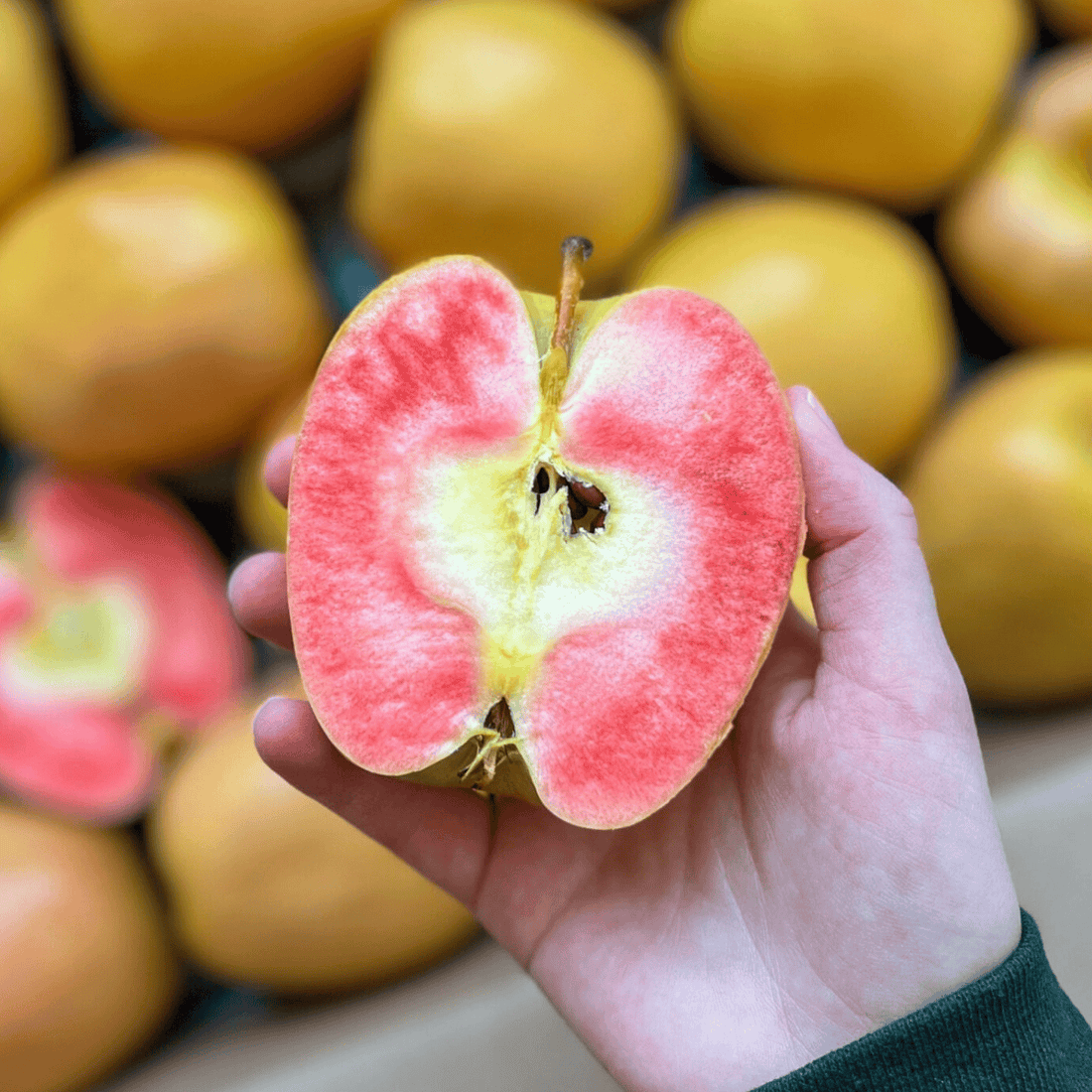 Hidden Rose Apple Good Hill Farms Fruit: Apple, Hidden Rose