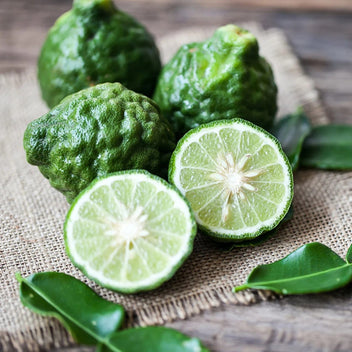 Kaffir Lime Good Hill Farms Fruit: Kaffir Lime