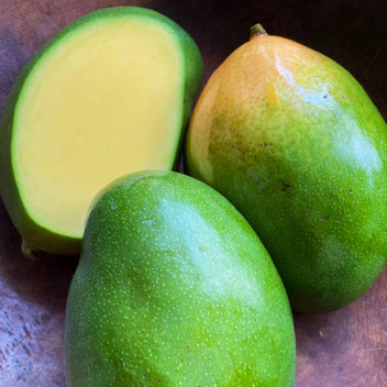 Keitt Mango (California Grown) Good Hill Farms Fruit: Melon, Korean
