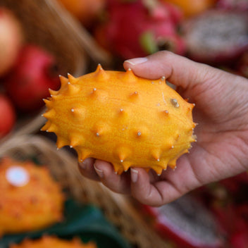 Kiwano Melon Good Hill Farms Fruit: Melon, Kiwano