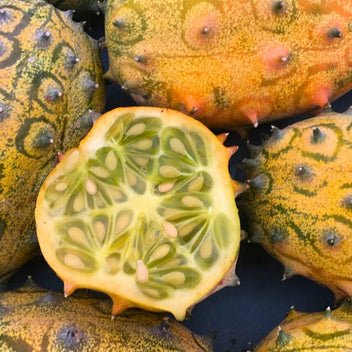Kiwano Melon Good Hill Farms Fruit: Melon, Kiwano