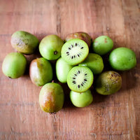 Kiwi Berry Good Hill Farms Fruit: Kiwi, Berries
