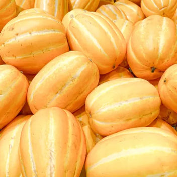 Korean Melon Good Hill Farms Fruit: Melon, Korean