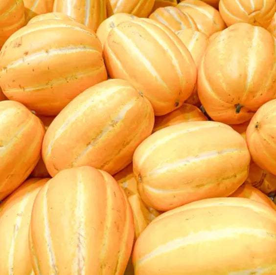 Korean Melon Good Hill Farms Fruit: Melon, Korean