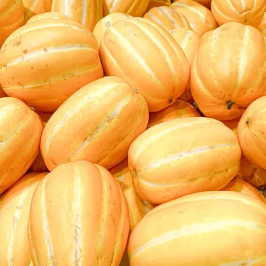 Korean Melon Good Hill Farms Fruit: Melon, Korean