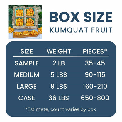 Kumquat Fruit Good Hill Farms Fruit: Kumquat