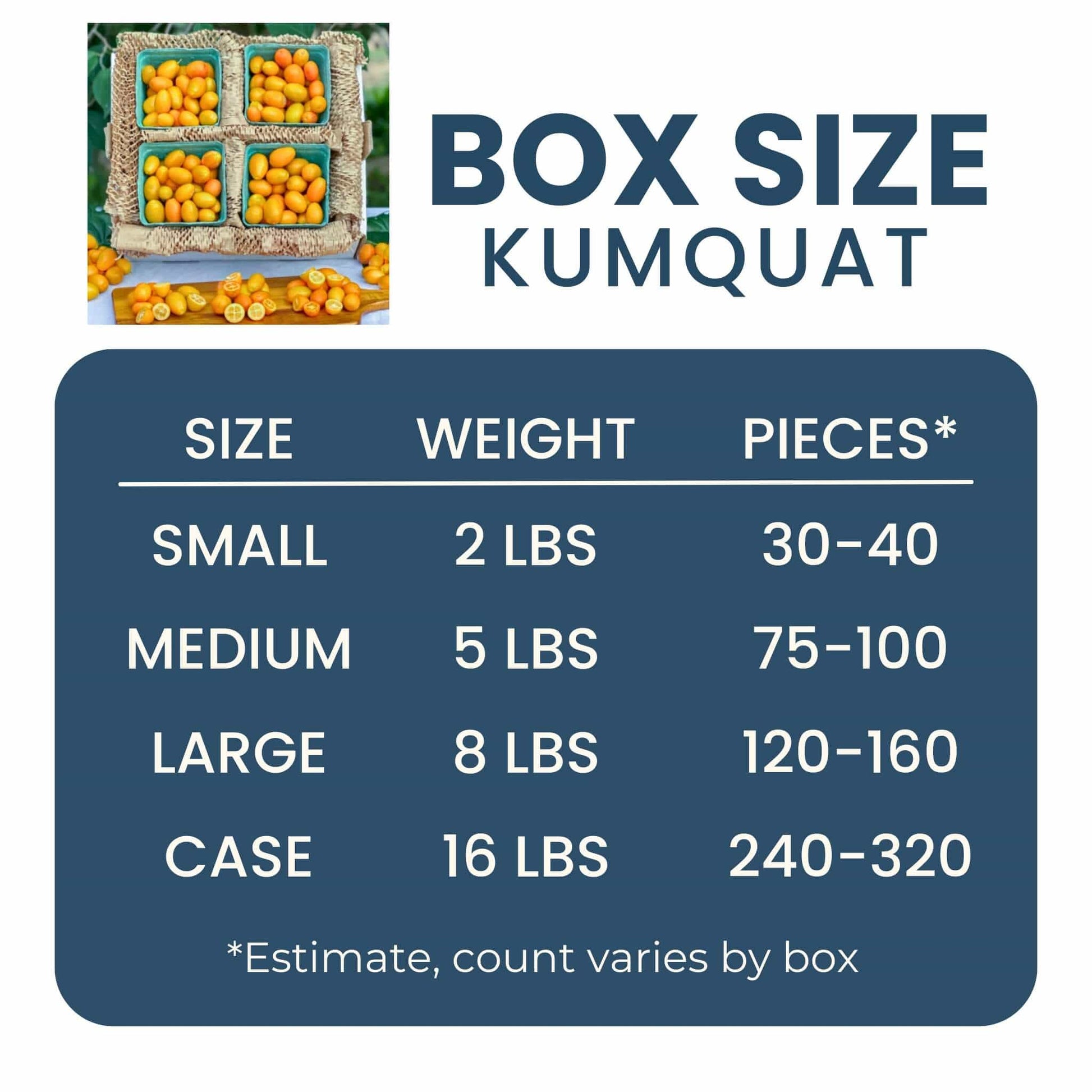 Kumquat Fruit Good Hill Farms Fruit: Kumquat