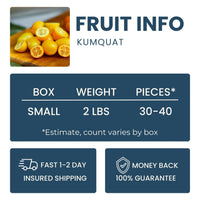 Kumquat Good Hill Farms Fruit: Kumquat