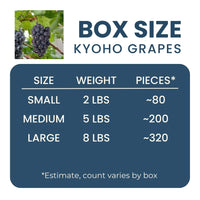 Kyoho Grapes Good Hill Farms Fruit: Grape, Kyoho