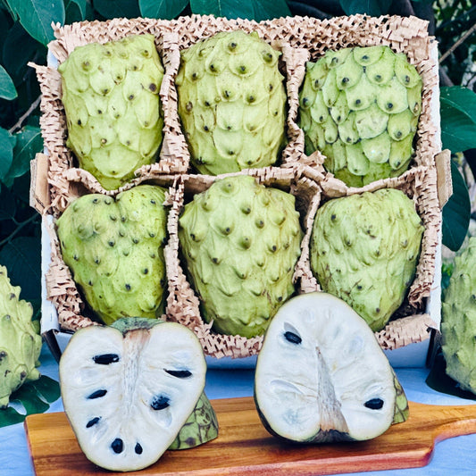 Large Cherimoya (Custard Apple) Good Hill Farms Fruit: Cherimoya