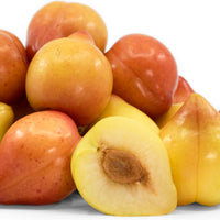 Lemon Plum Good Hill Farms Fruit: Lemon Plum