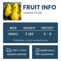 Lemon Plum Good Hill Farms Fruit: Lemon Plum