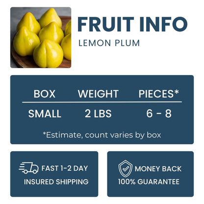 Lemon Plum Good Hill Farms Fruit: Lemon Plum