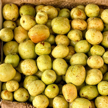 Li Jujube Box (Chinese Date) Good Hill Farms Fruit: Jujube, Li