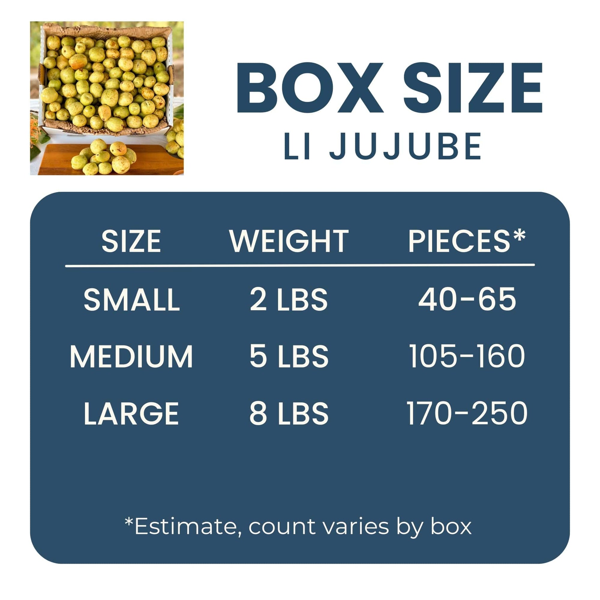 Li Jujube (Chinese Date) Good Hill Farms Fruit: Jujube, Li