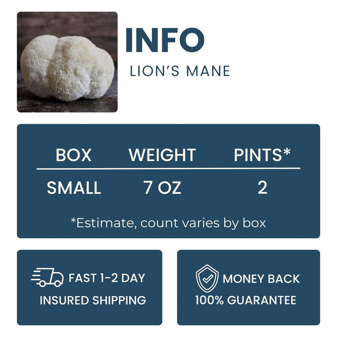 Lion's Mane Mushroom Good Hill Farms Mushroom: Lion's Mane