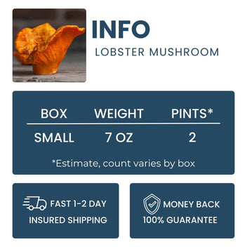 Lobster Mushroom Good Hill Farms Mushroom: Lobster Mushroom