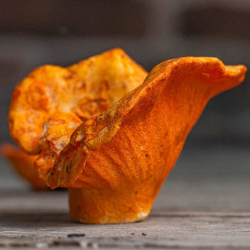 Lobster Mushroom Good Hill Farms Mushroom: Lobster Mushroom